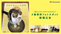 イエローハット 「全国交通にゃん全運動」
