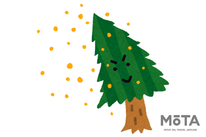 車内に花粉を持ち込まないことが大切