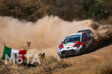 WRC 第3戦ラリー・メキシコ