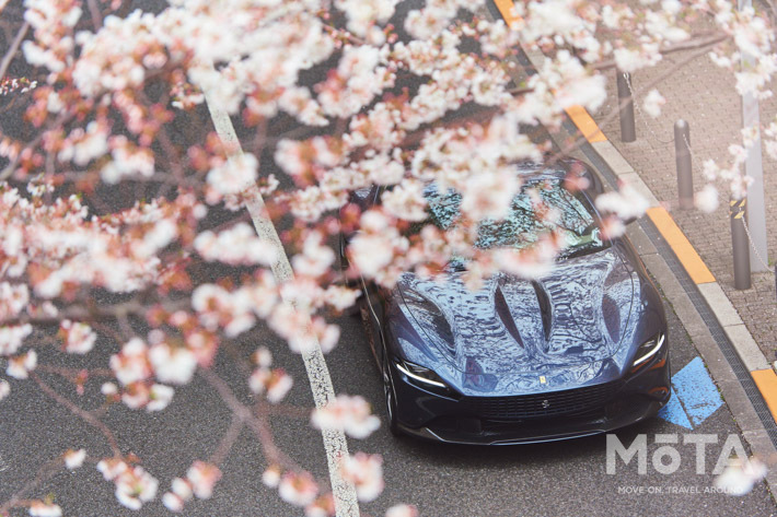 フェラーリ ローマ