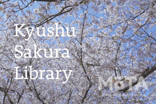 トレンドウォッチャー女子