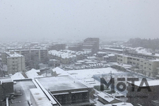 2020年3月29日日曜日、東京郊外に降った突然の雪