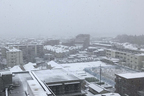 2020年3月29日日曜日、東京郊外に降った突然の雪