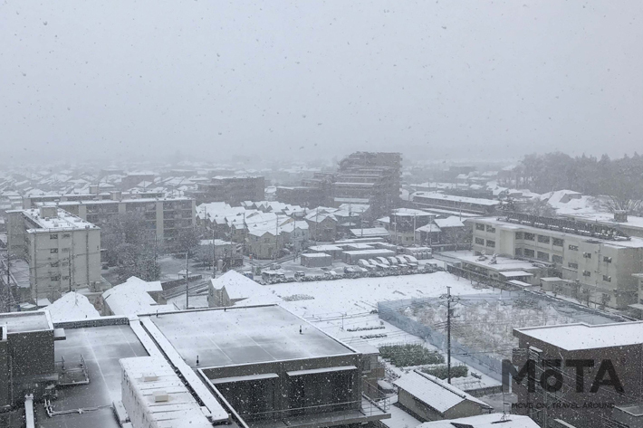 2020年3月29日日曜日、東京郊外に降った突然の雪