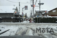 2020年3月29日日曜日、東京郊外に降った突然の雪