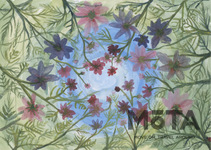 第17回ブリヂストンこどもエコ絵画コンクール