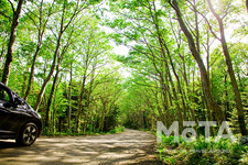 ドライブのイメージ