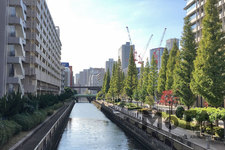 東京都港区芝浦・竹芝橋より芝浦運河を臨む