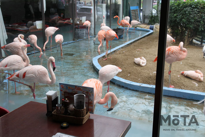 ボルボ XC60 B5 AWD Inscription[48Vハイブリッド]で燃費チャレンジ！