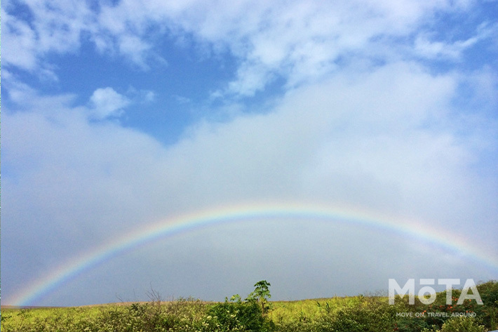 効果長持ち フロントガラスの汚れを防ぐ フッ素系撥水剤の効果とは ガラスコーティングのススメ コラム Mota