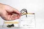 デアゴスティーニ 「ワイルド・スピード ダッジ・チャージャー R/T」