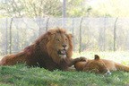 ドライブスポット／動物園のイメージ