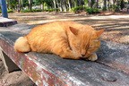 居眠りのイメージ