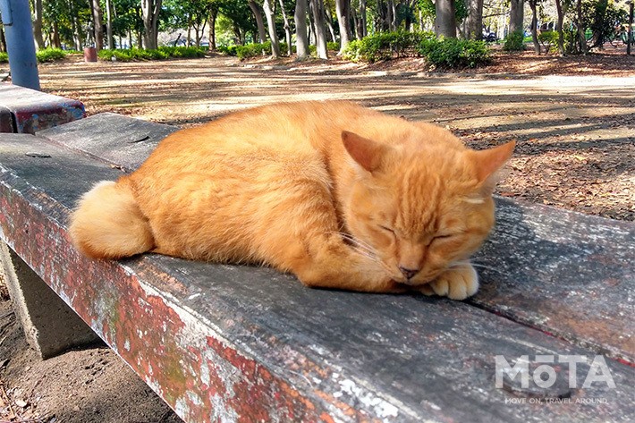 車の居眠り防止にはウェアラブル 耳ツボ刺激のおすすめアイテムをご紹介 渋滞 眠気対策グッズ コラム Mota