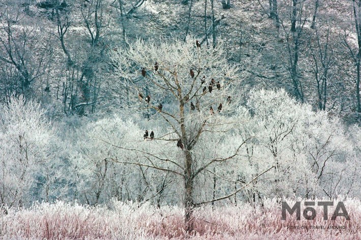 Moving Inn（ムービングイン）