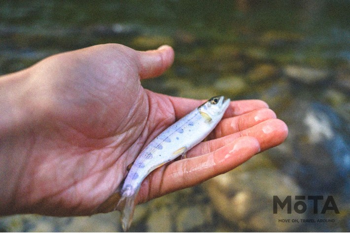 Moving Inn（ムービングイン）