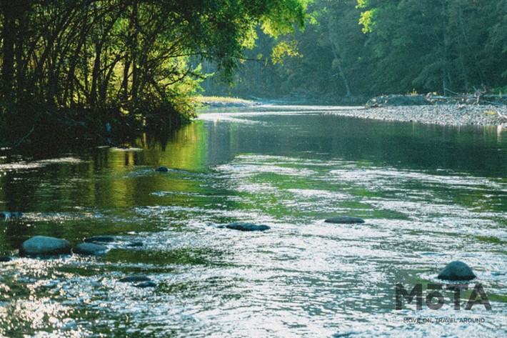 Moving Inn（ムービングイン）