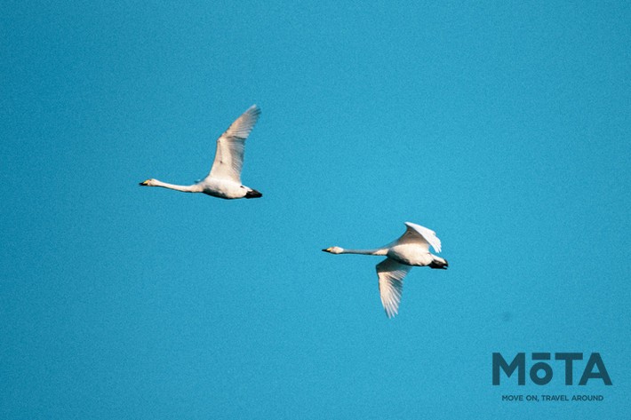 Moving Inn（ムービングイン）