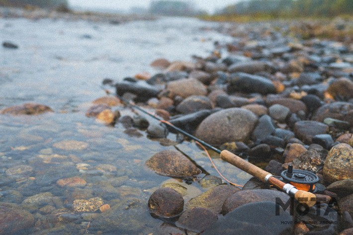 Moving Inn（ムービングイン）