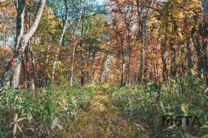 Moving Inn（ムービングイン）