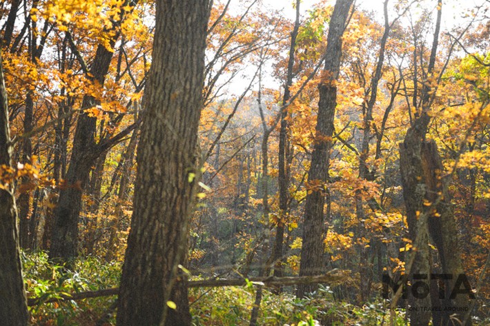 Moving Inn（ムービングイン）