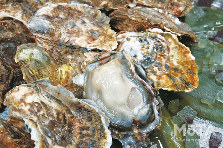 厚岸味覚ターミナル コンキリエ