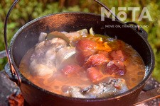 キャンプ／アウトドアのイメージ