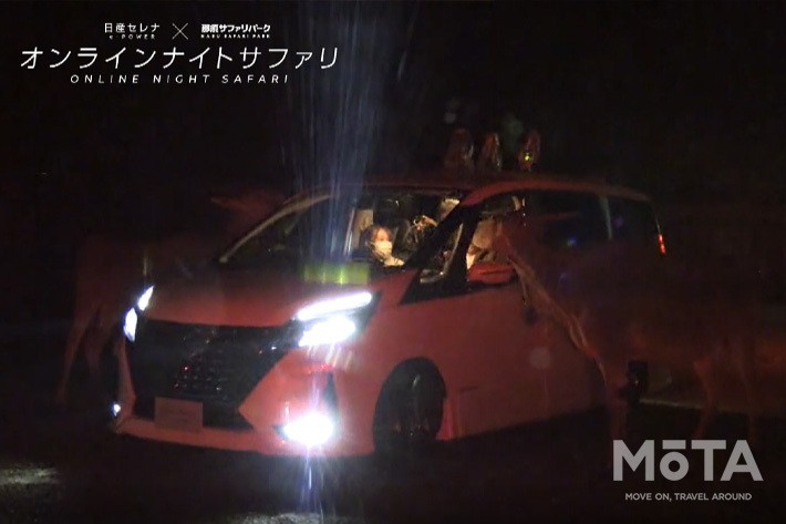 日産 × 那須サファリパーク「オンラインナイトサファリ」