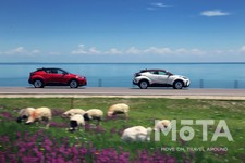 トヨタ C-HR EV[中国専用車]