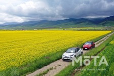 トヨタ C-HR EV[中国専用車]