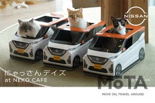 ねこ用日産軽自動車「にゃっさんデイズ」×猫カフェ「MOCHA」