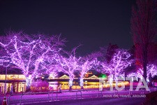 東武動物公園  ウインターイルミネーション