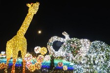 東武動物公園  ウインターイルミネーション