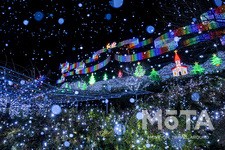 あしかがフラワーパーク「光の花の庭」