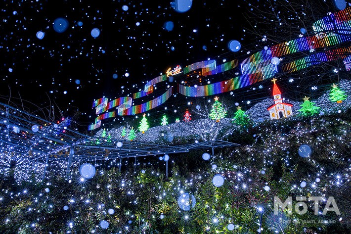 あしかがフラワーパーク「光の花の庭」