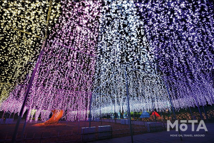 関東最大級 クリスマスや年末年始 車で行きたいイルミネーションイベント3選 関東 21年 画像ギャラリー No 4 特集 Mota 関東最大級 クリスマスや年末年始 車で行きたいイルミネーションイベント3選 関東 21年 画像ギャラリー No 4 特集 Mota