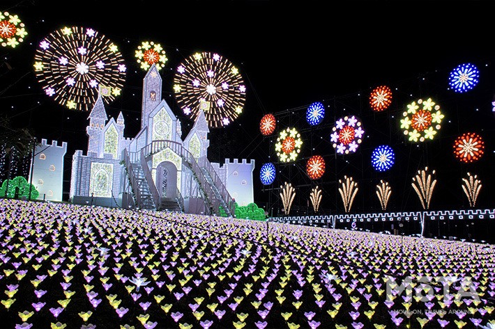 あしかがフラワーパーク「光の花の庭」