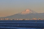 東京湾から臨む富士山