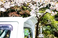 「CLS-VS」キャリイトラック[ESB（イーエスビー）]