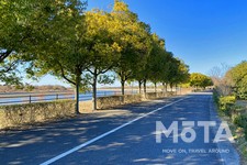 彩湖・道満グリーンパーク