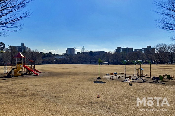 和光樹林公園