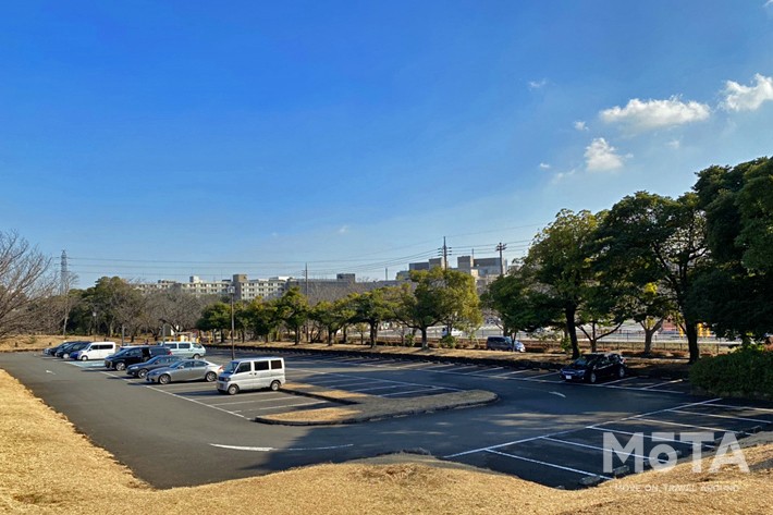和光樹林公園