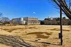 和光樹林公園