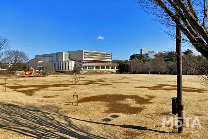 和光樹林公園