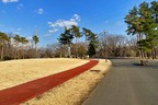 和光樹林公園