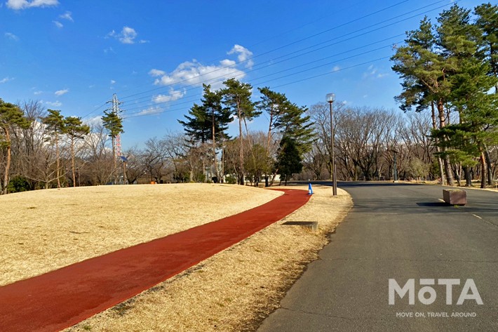 和光樹林公園