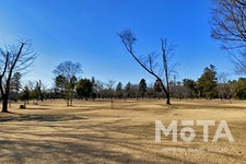 和光樹林公園