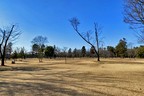 和光樹林公園