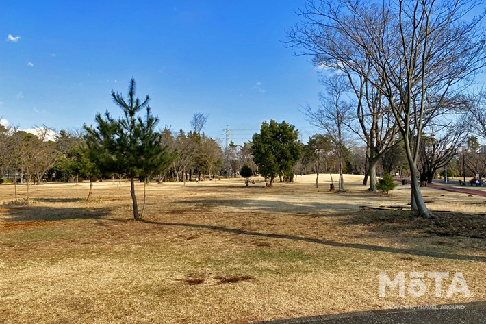和光樹林公園