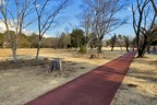 和光樹林公園